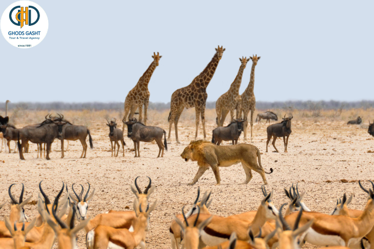 SOUTH AFRICA