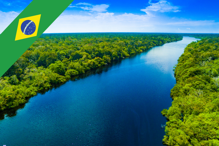 تور برزیل، جنگل آمازون