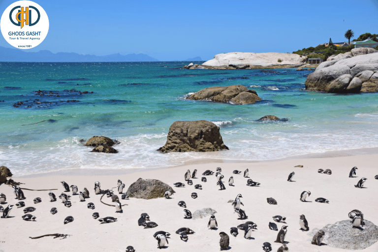 SOUTH AFRICA