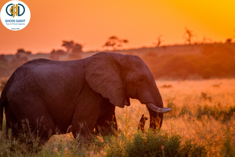 SOUTH AFRICA