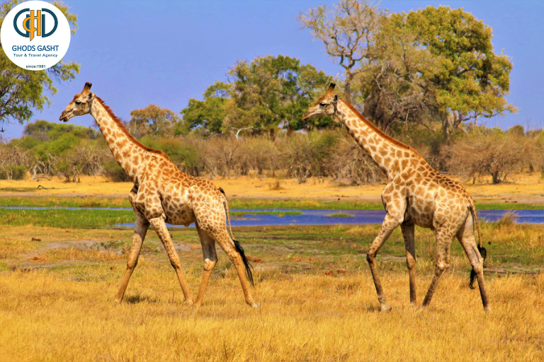 SOUTH AFRICA